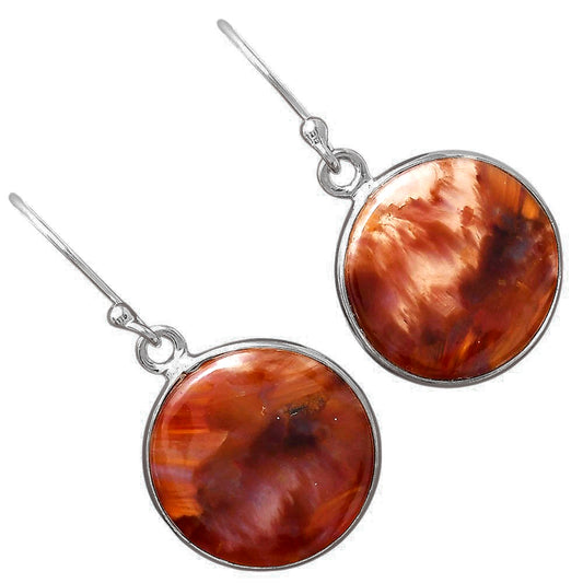 Natural Pietersite - Namibia Earrings E-1001 SDE88413