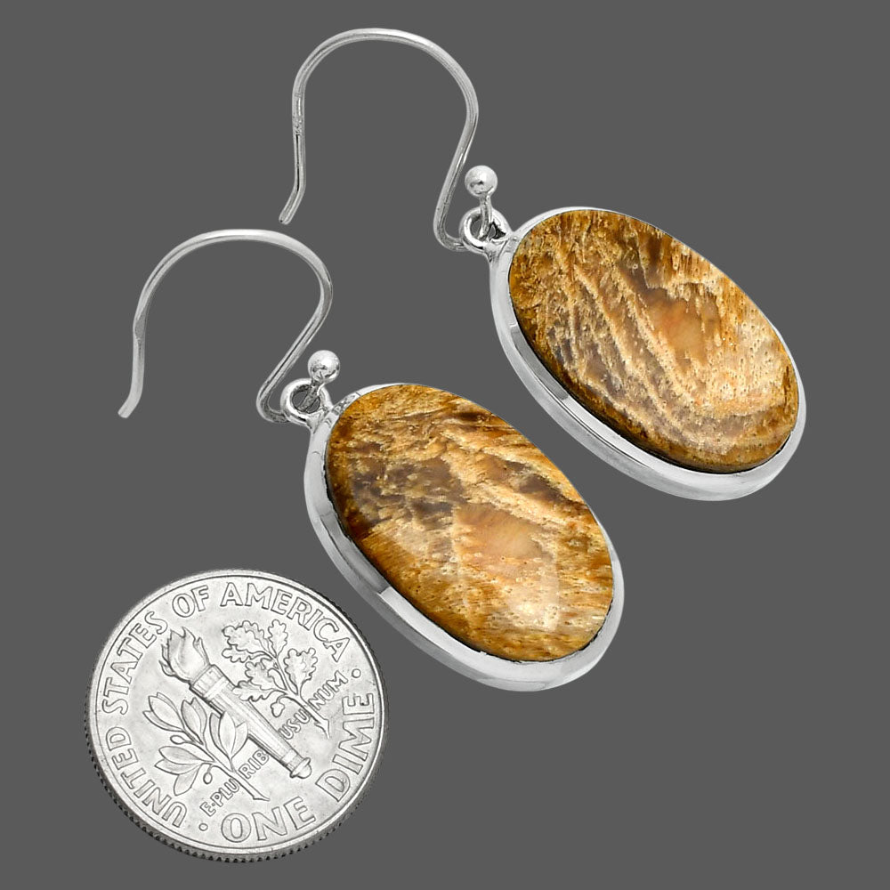 Natural Palm Root Fossil Agate Earrings E-1004 SDE88867