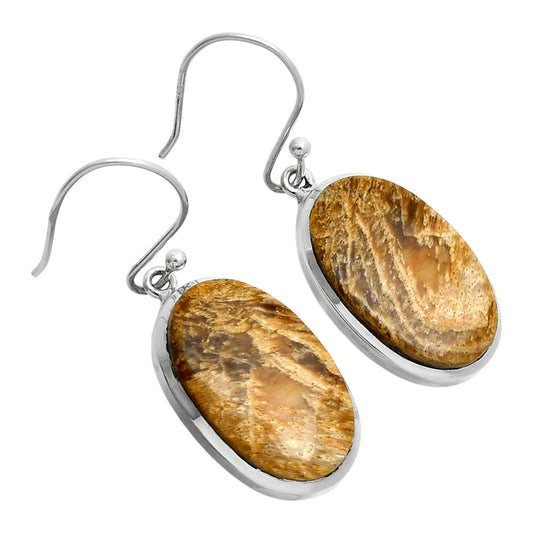Natural Palm Root Fossil Agate Earrings E-1004 SDE88867