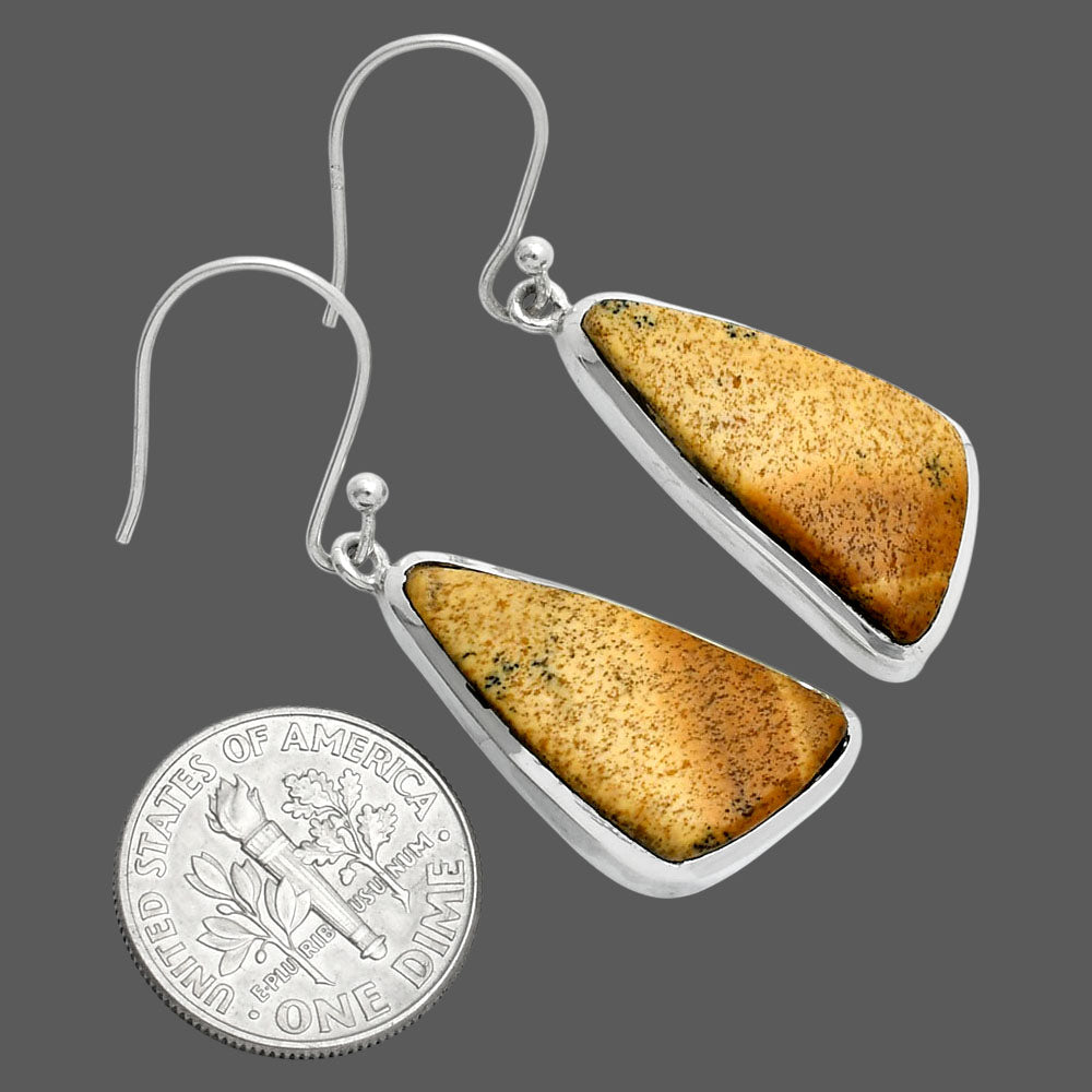 Natural Palm Root Fossil Agate Earrings E-1004 SDE88967