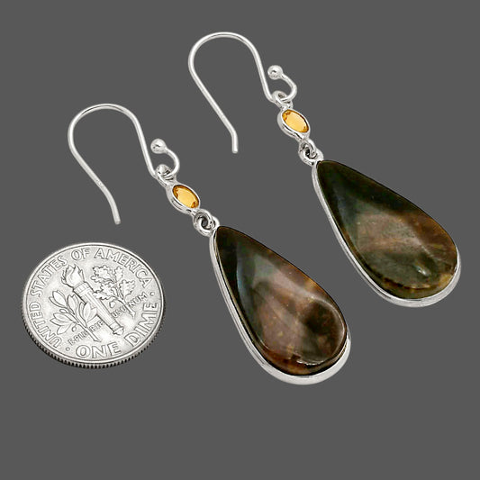 Palm Root Fossil Agate and Citrine Earrings E-1002 SDE90224