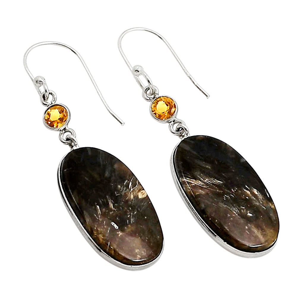 Bat Cave Jasper and Citrine Earrings E-1002 SDE90923