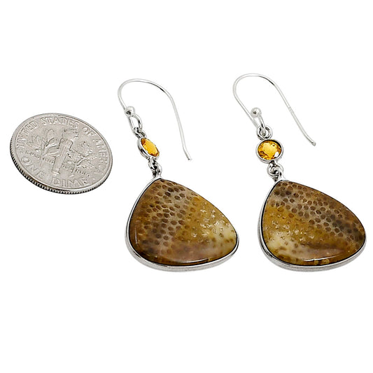 Root Plume Agate and Citrine Earrings E-1002 SDE90944