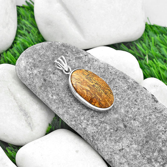 Natural Coquina Fossil Jasper - India Pendant P-1002 SDP102262