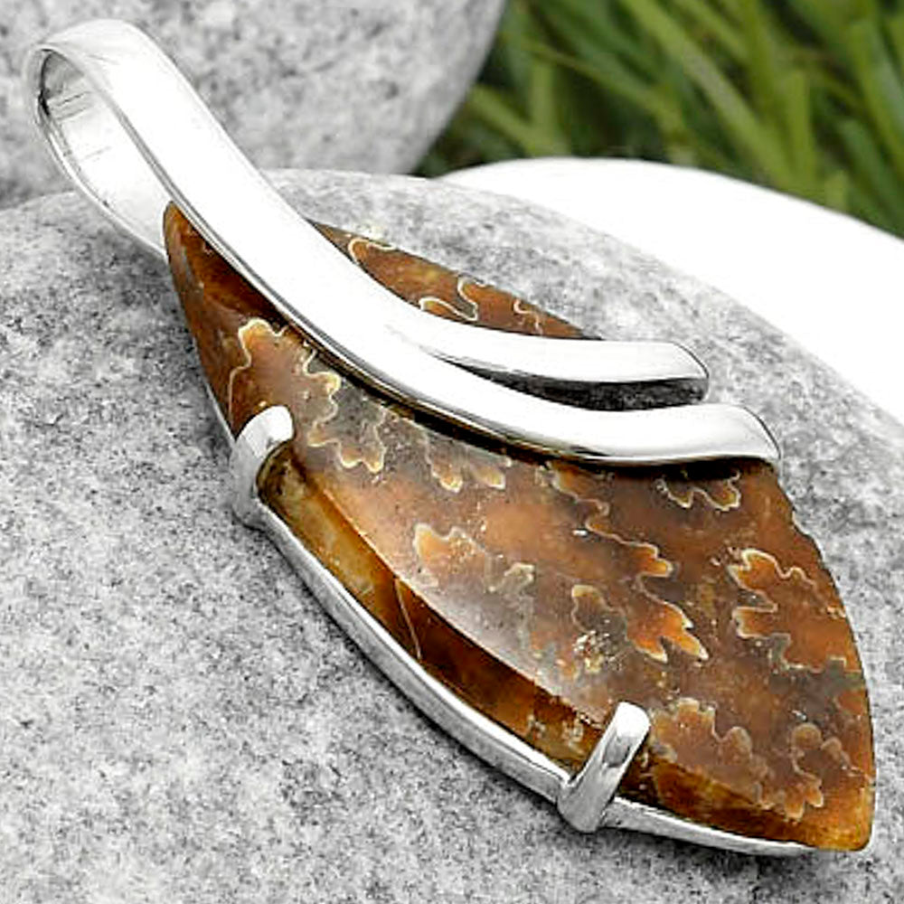 Natural Sutured Ammonite - Madagascar Pendant P-1165 SDP114808