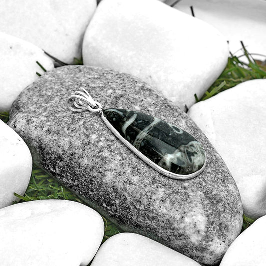 Natural Mexican Cabbing Fossil Pendant P-1001 SDP122735