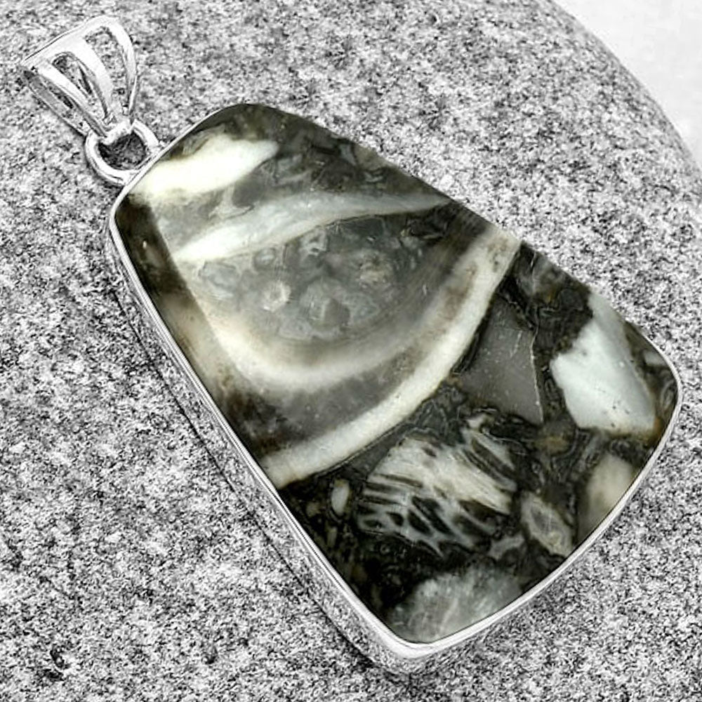 Natural Mexican Cabbing Fossil Pendant P-1001 SDP128268