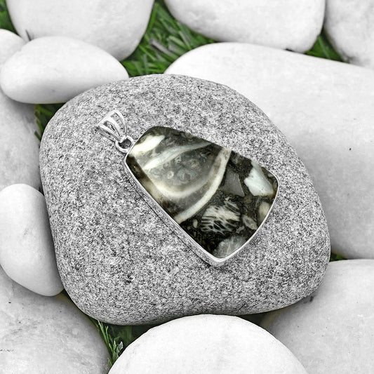 Natural Mexican Cabbing Fossil Pendant P-1001 SDP128268