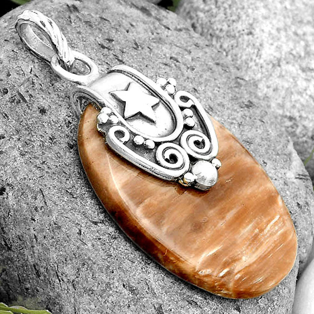 Star - Natural Petrified Wood Pendant P-1313 SDP134687