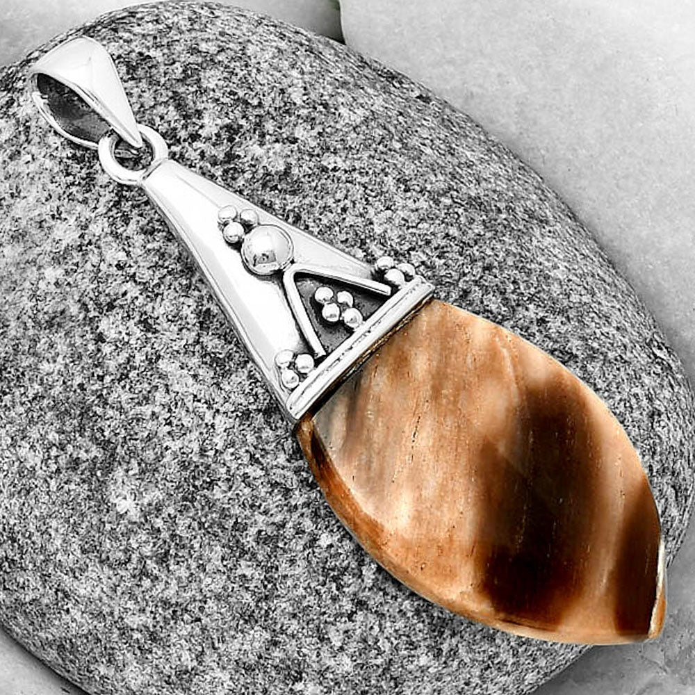 Natural Petrified Wood Pendant P-1139 SDP136757