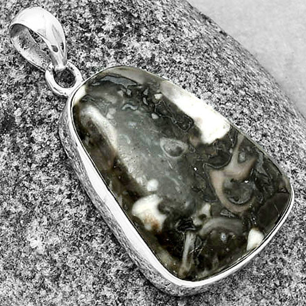 Natural Mexican Cabbing Fossil Pendant P-1001 SDP136903