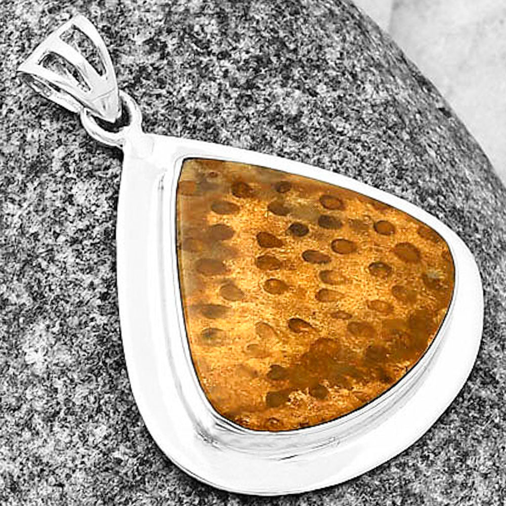 Natural Palm Root Fossil Agate Pendant P-1076 SDP138843