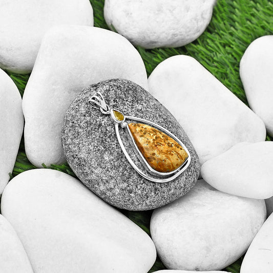 Palm Root Fossil Agate & Citrine Pendant P-1005 SDP139260