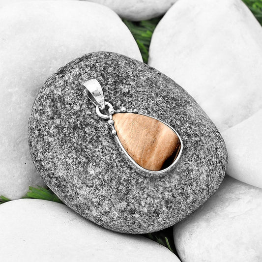 Natural Petrified Wood Pendant P-1349 SDP140678