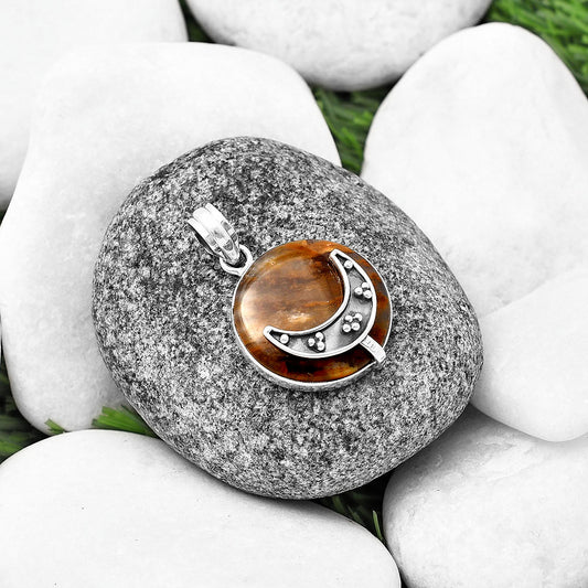 Crescent Moon - Petrified Wood Pendant P-1719 SDP140961
