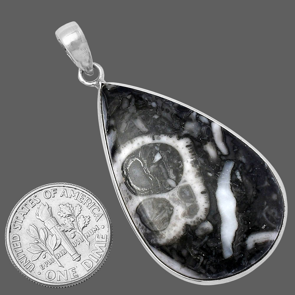 Natural Mexican Cabbing Fossil Pendant P-1001 SDP141849