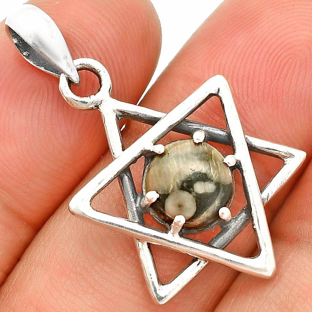 Star of David - Natural Crinoid Fossil Coral Pendant P-1004 SDP150022