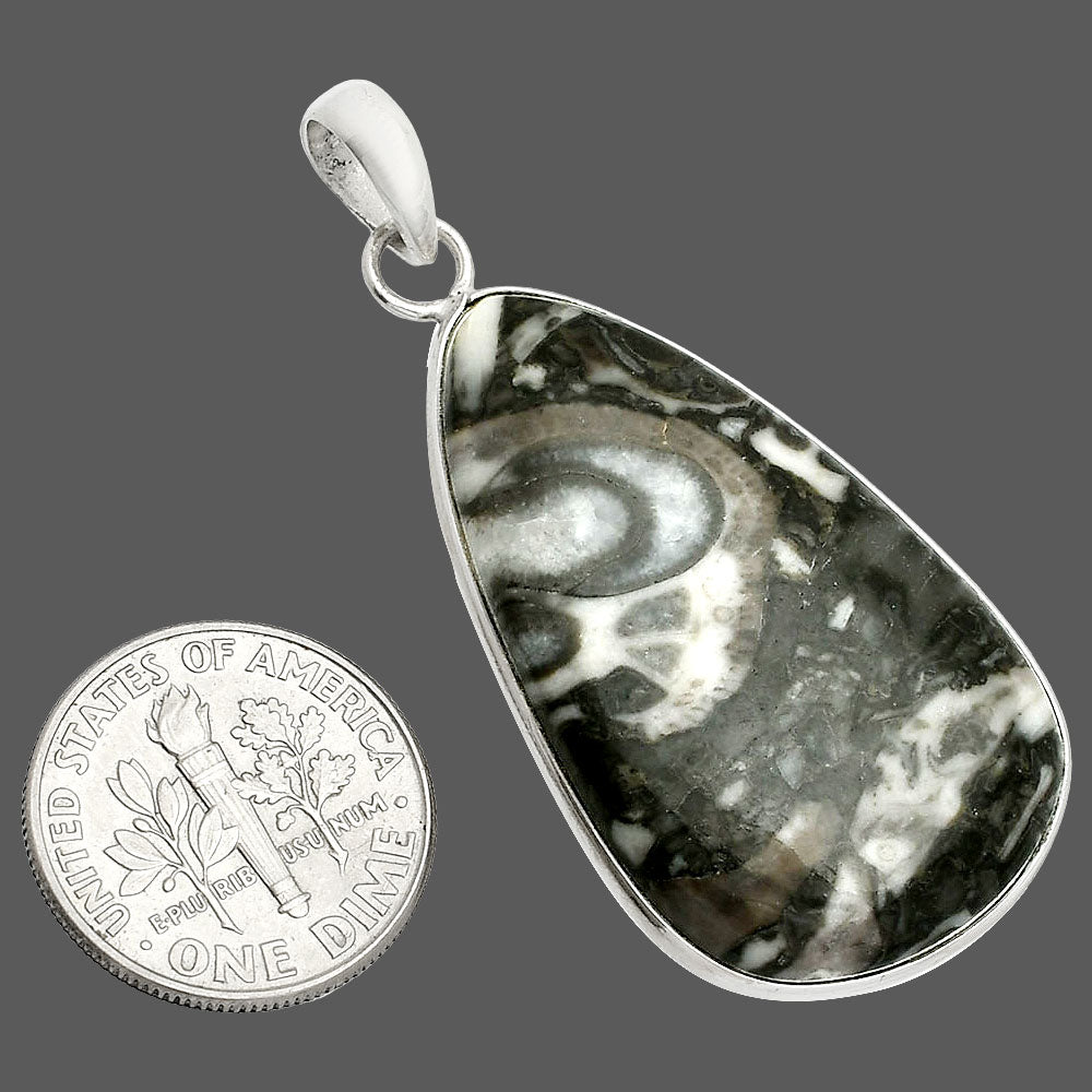 Natural Mexican Cabbing Fossil Pendant P-1001 SDP150281