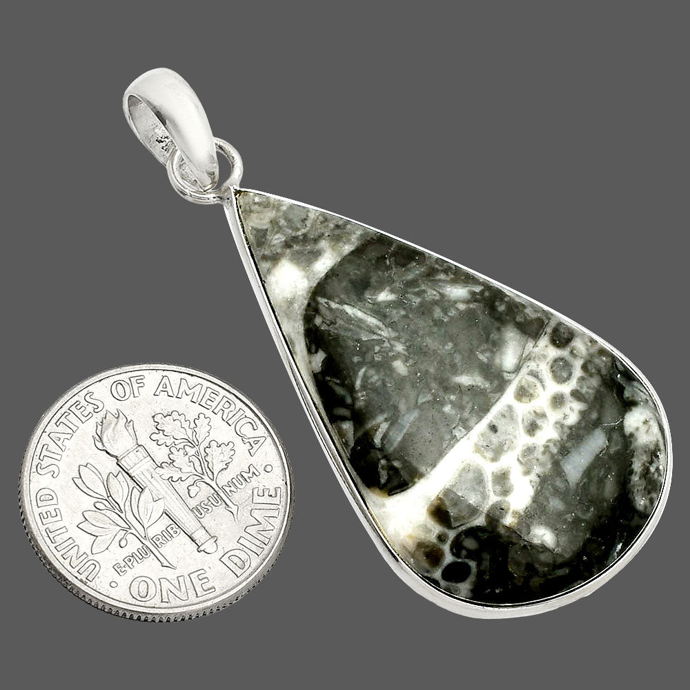 Natural Mexican Cabbing Fossil Pendant P-1001 SDP150311