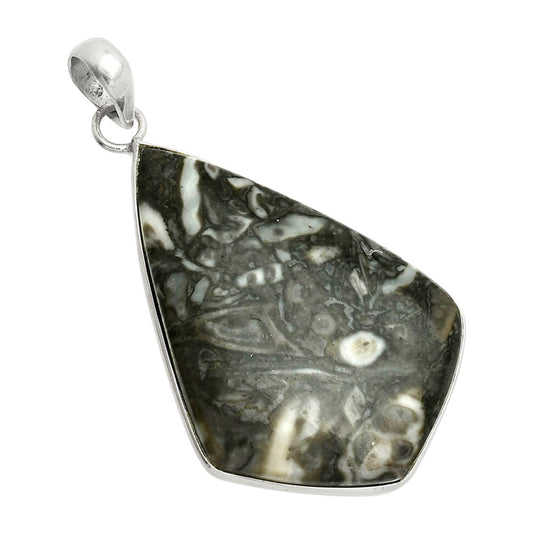 Natural Mexican Cabbing Fossil Pendant P-1001 SDP150409