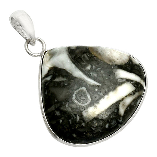 Natural Mexican Cabbing Fossil Pendant P-1001 SDP150480