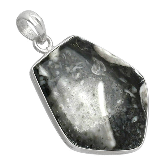 Natural Mexican Cabbing Fossil Pendant P-1001 SDP153607