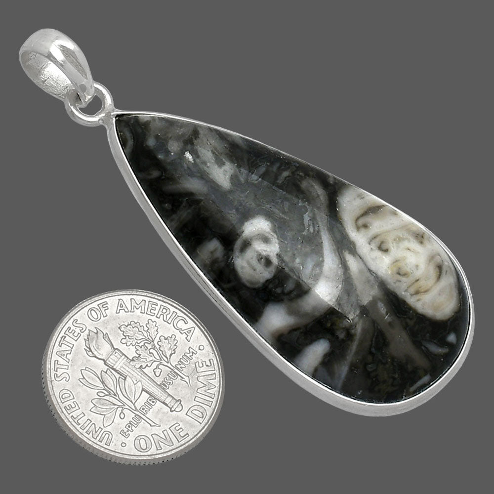 Natural Mexican Cabbing Fossil Pendant P-1001 SDP153703