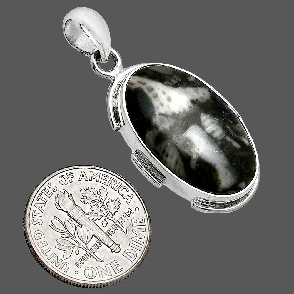 Natural Mexican Cabbing Fossil Pendant P-1072 SDP153920