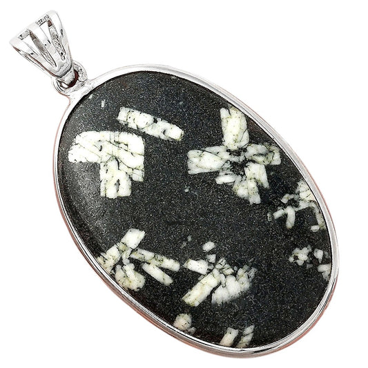 Natural Hornblende Pendant P-1001 SDP155998