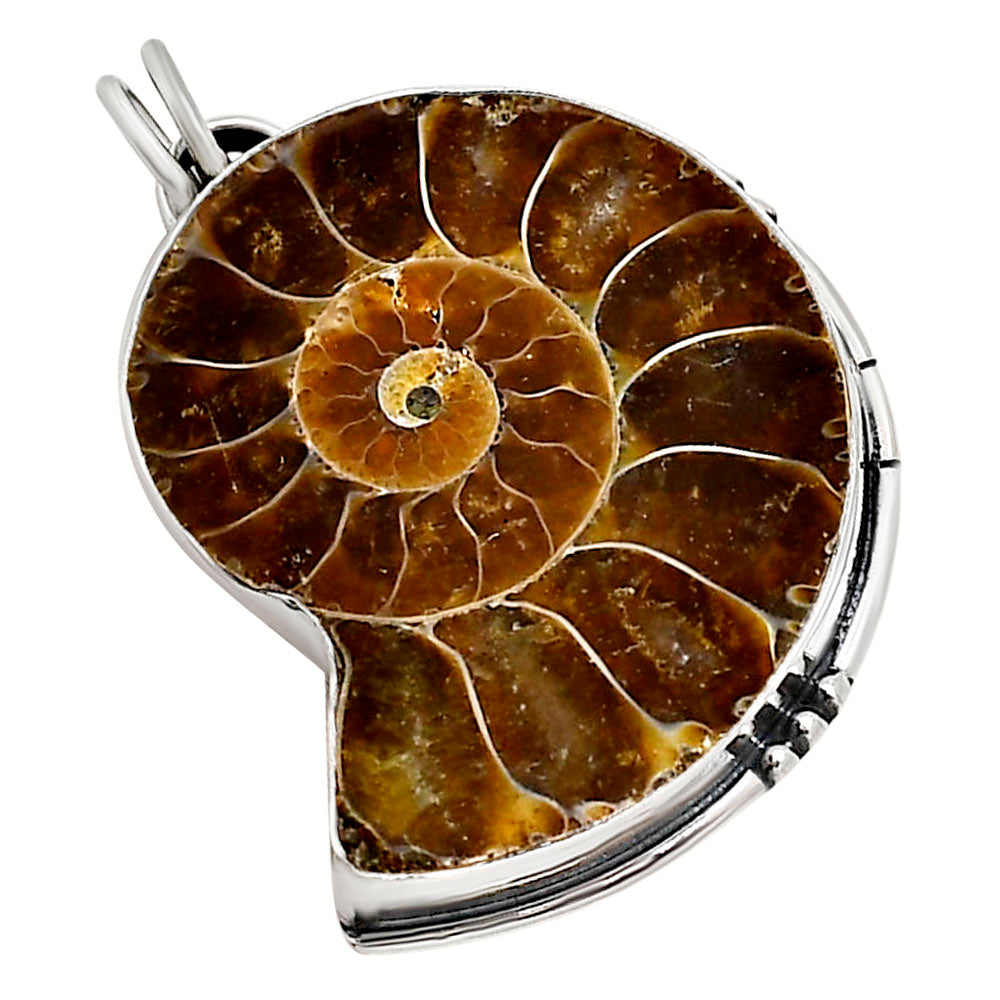Fossil Ammonite Pendant P-1736 SDP158658