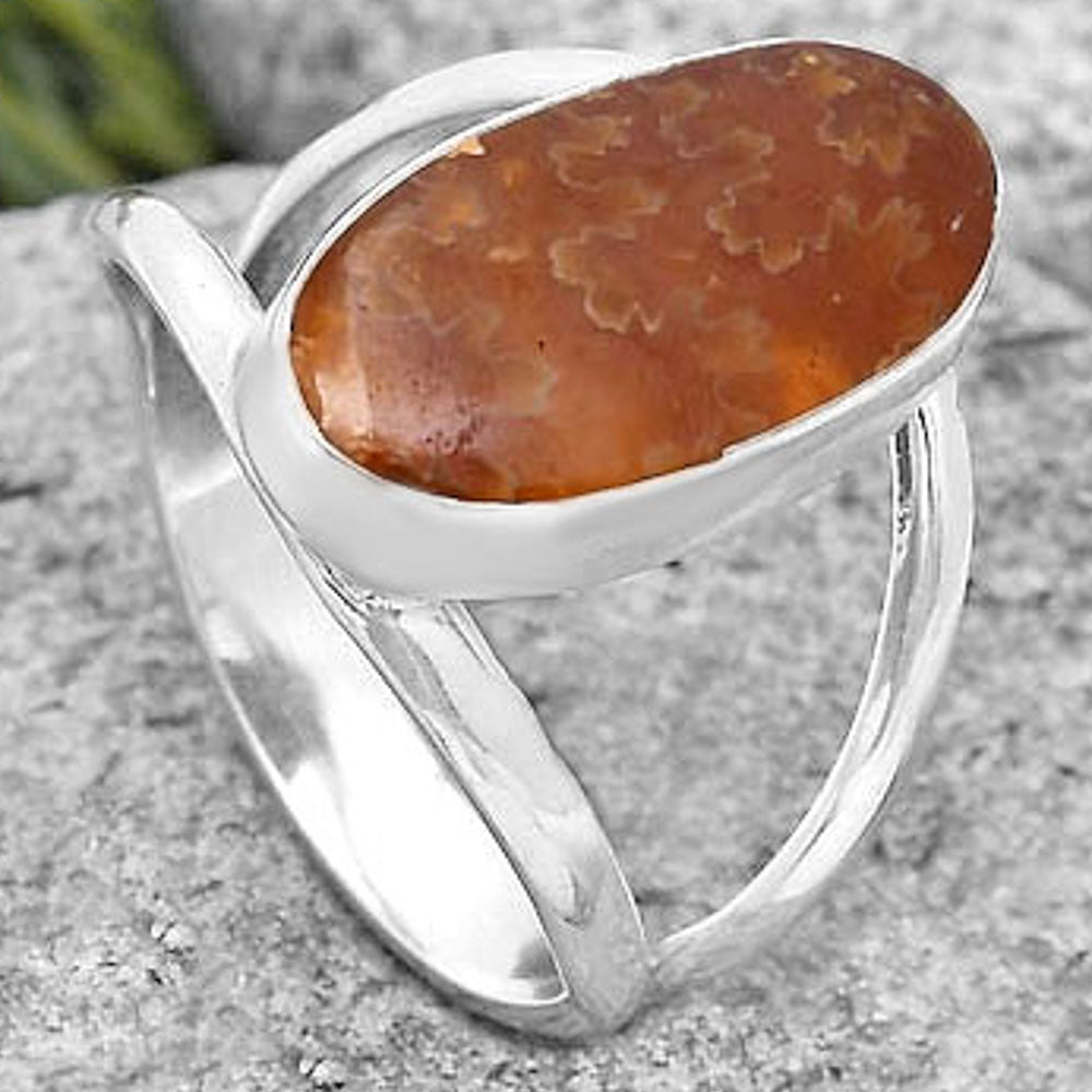 Sutured Ammonite - Madagascar Ring size-7.5 R-1002 SDR198663