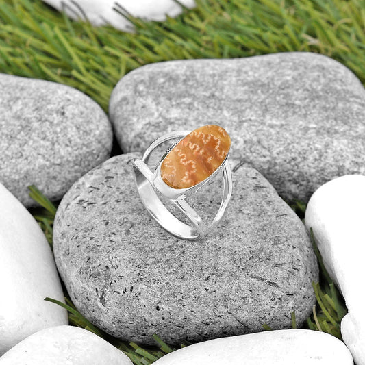 Sutured Ammonite - Madagascar Ring size-8.5 R-1002 SDR198677