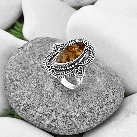 Sutured Ammonite - Madagascar Ring size-8.5 R-1441 SDR206219