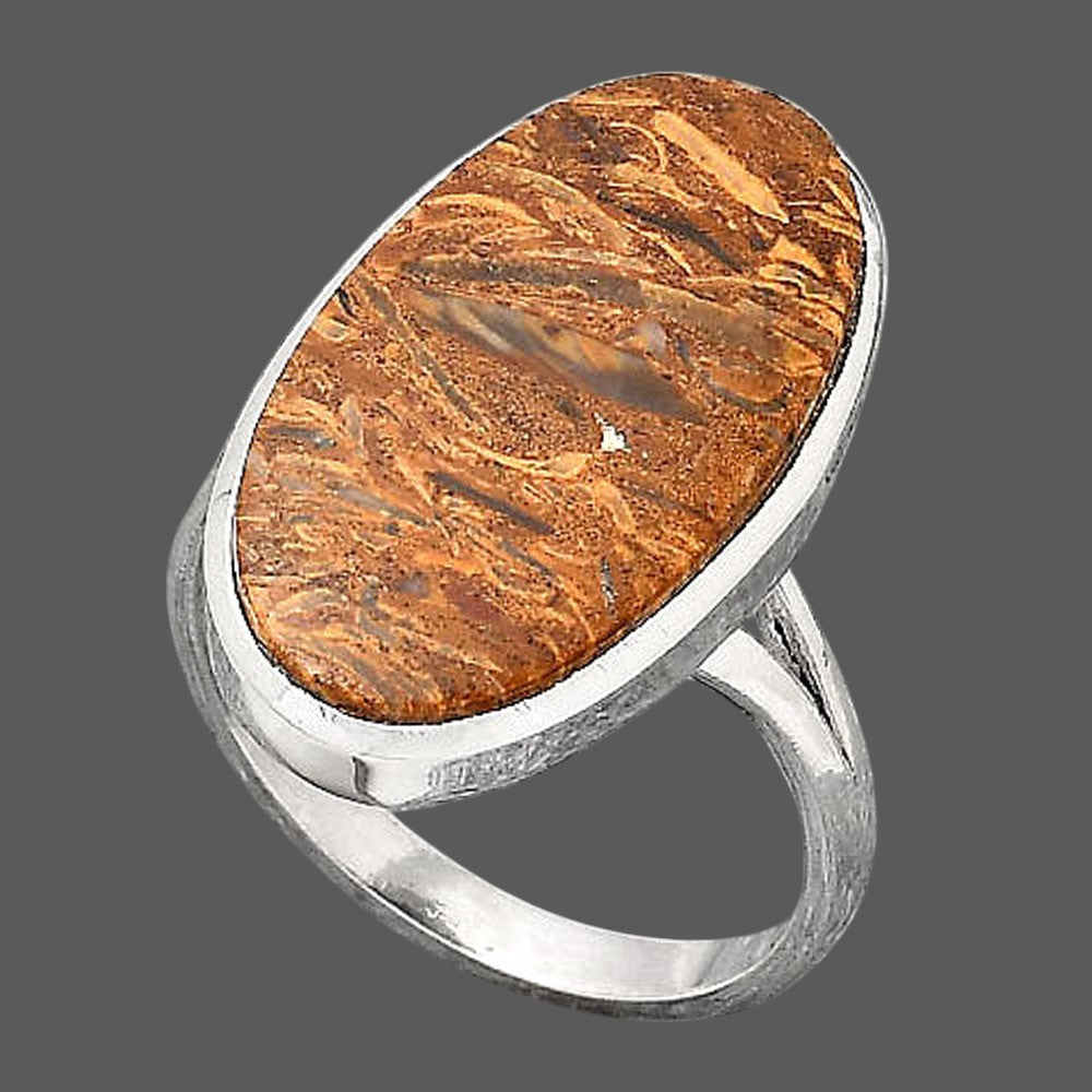 Natural Coquina Fossil Jasper India Ring size-9 R-1005 SDR246733