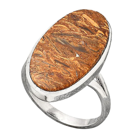 Natural Coquina Fossil Jasper India Ring size-9 R-1005 SDR246733