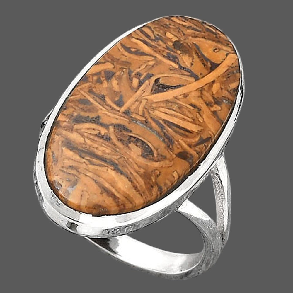 Natural Coquina Fossil Jasper India Ring size-8 R-1005 SDR246794