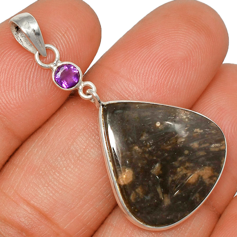 Palm Root Fossil Agate & Amethyst Pendant Earrings Set T-1010 SDT03286