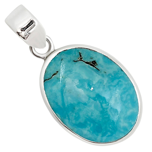 Natural Rare Turquoise Nevada Aztec Mt Pendant P-1002 27-EP10897