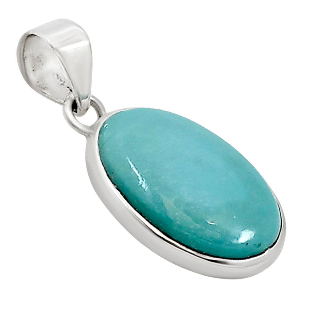 Natural Rare Turquoise Nevada Aztec Mt Pendant P-1002 27-EP10904