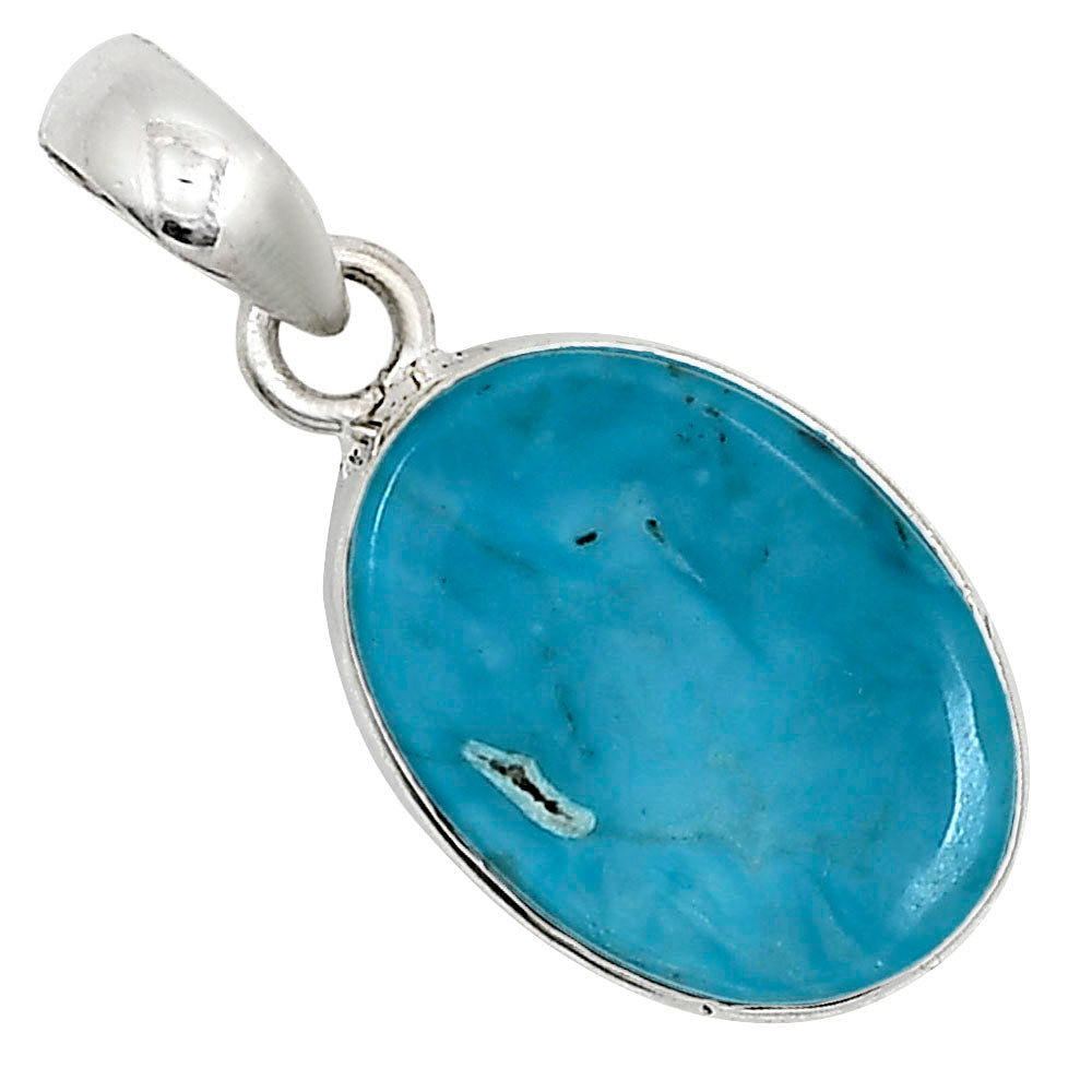 Natural Rare Turquoise Nevada Aztec Mt Pendant P-1001 27-EP11106
