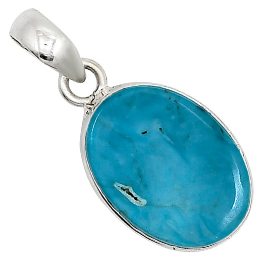 Natural Rare Turquoise Nevada Aztec Mt Pendant P-1001 27-EP11106