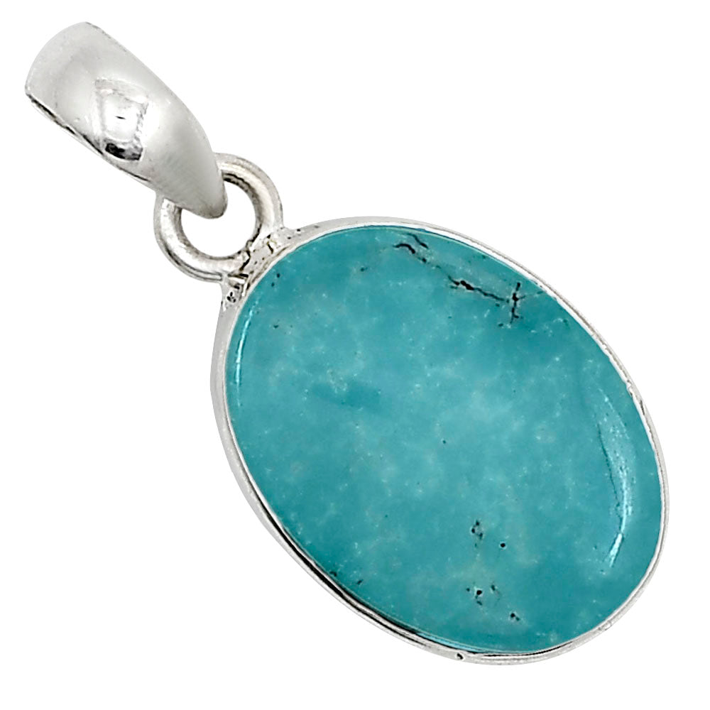 Natural Rare Turquoise Nevada Aztec Mt Pendant P-1001 27-EP11107