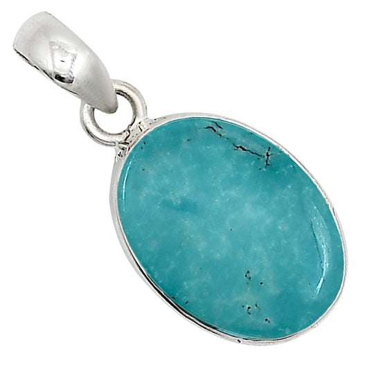 Natural Rare Turquoise Nevada Aztec Mt Pendant P-1001 27-EP11107
