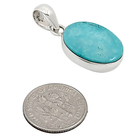 Natural Rare Turquoise Nevada Aztec Mt Pendant P-1001 27-EP11107