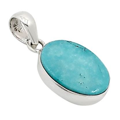 Natural Rare Turquoise Nevada Aztec Mt Pendant P-1001 27-EP11107