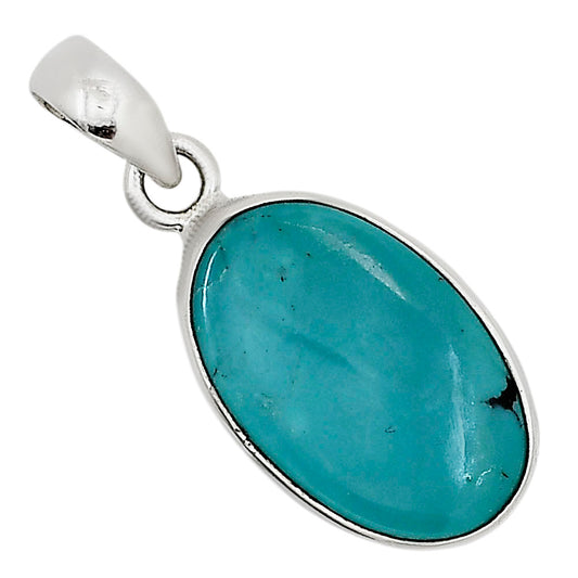 Natural Rare Turquoise Nevada Aztec Mt Pendant P-1001 27-EP11108