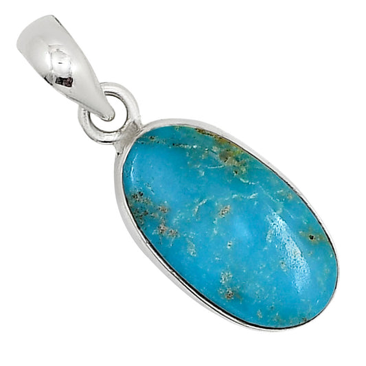 Natural Rare Turquoise Nevada Aztec Mt Pendant P-1001 27-EP11118