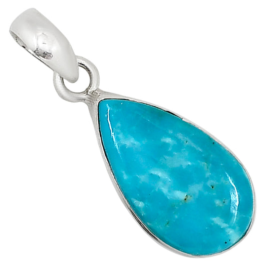 Natural Rare Turquoise Nevada Aztec Mt Pendant P-1001 27-EP11141
