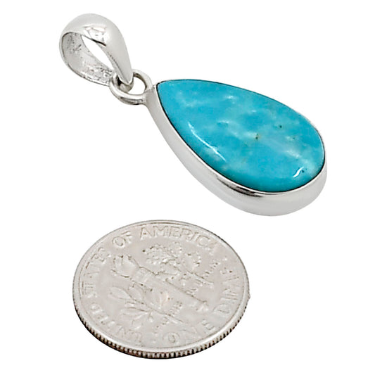 Natural Rare Turquoise Nevada Aztec Mt Pendant P-1001 27-EP11141