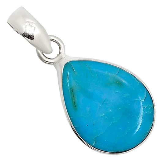 Natural Rare Turquoise Nevada Aztec Mt Pendant P-1001 27-EP11159